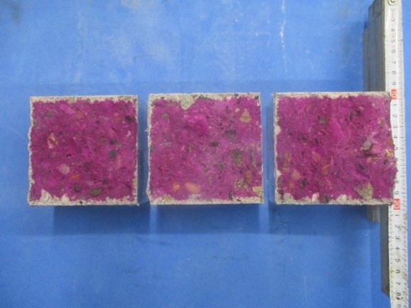 写真2　中性化深さ測定