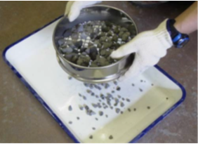 ふるい分け試験（粒度）