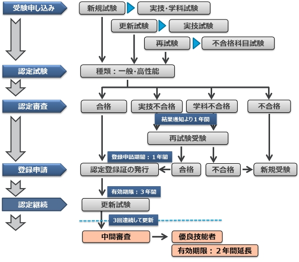 試験の流れの図